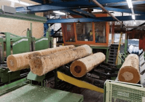 Timber processing in GDIZ Benin Africa