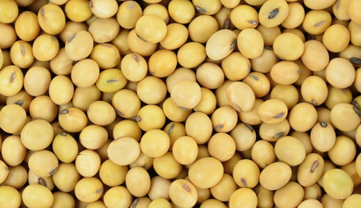 soya-beans