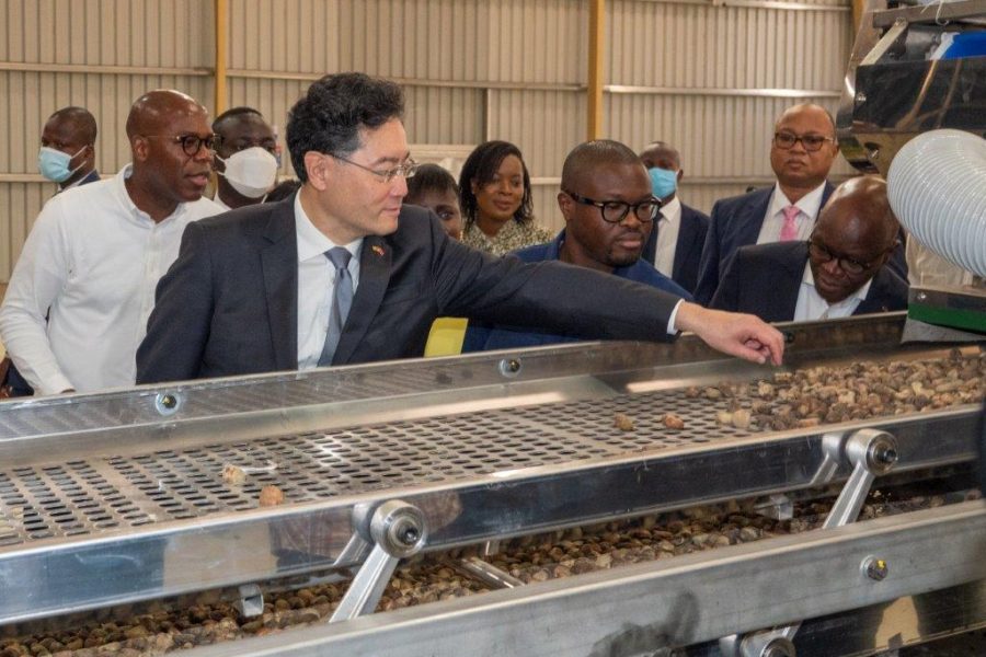 Chinese diplomacy visits GDIZ