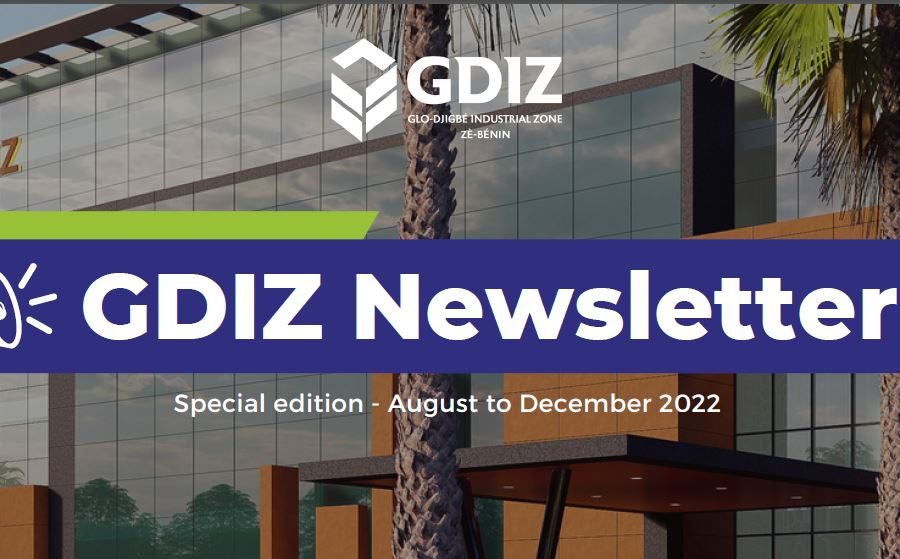 GDIZ Newsletter December 2022