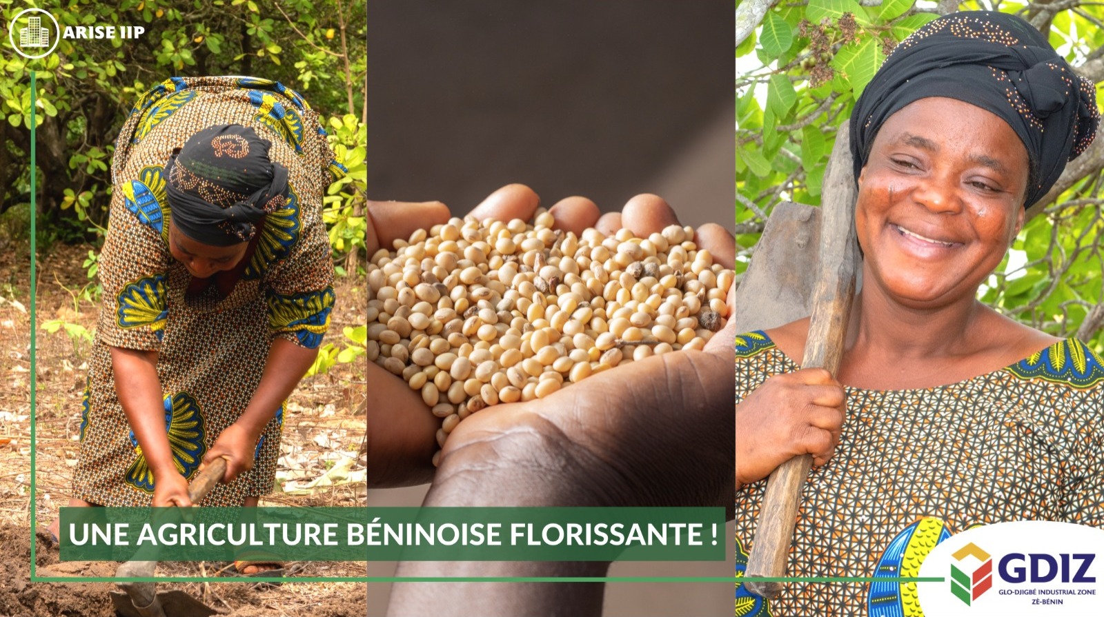 New measures for a prosperous Beninese agriculture!