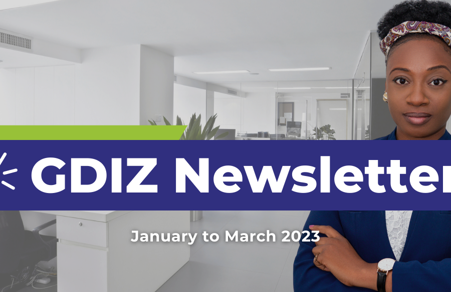 GDIZ newsletter Jan-Mar 2023