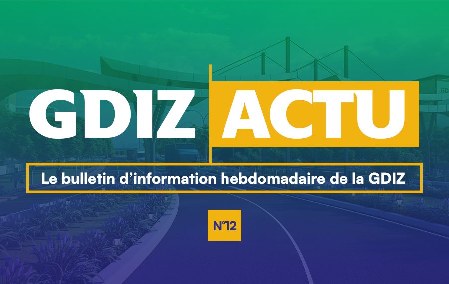 GDIZ ACTU 12