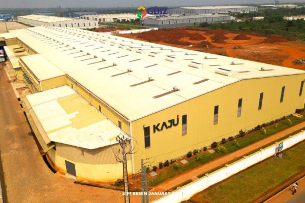 15.1.BENIN CASHEW SA -17 15.1.BENIN CASHEW SA -17