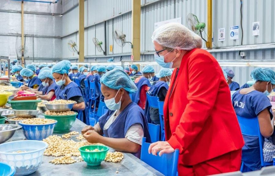 GDIZ receives financing of 10 billion XOF from BOAD for Cashew nut processing in Benin