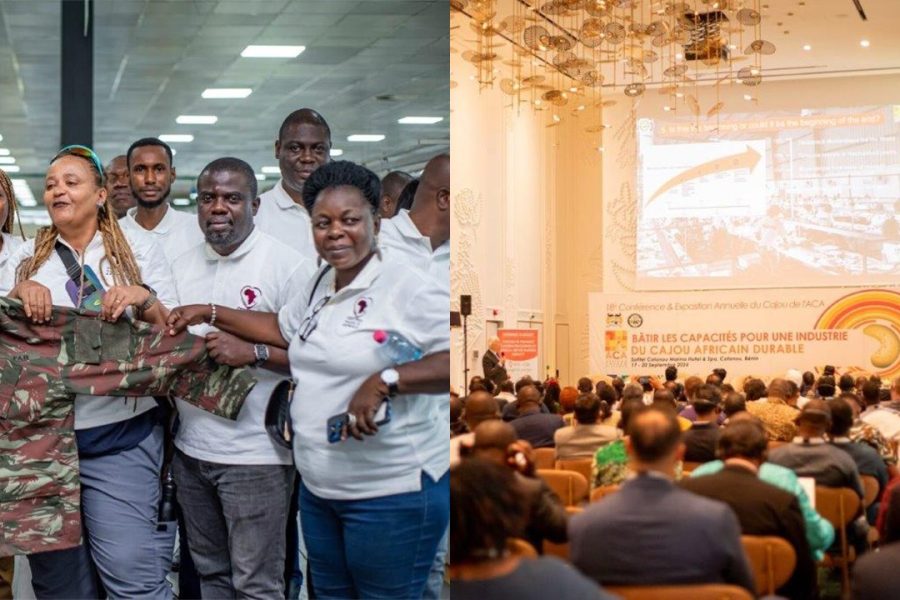 GDIZ spotlight edition 28