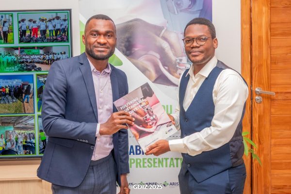 GDIZ, a model of sustainable industrialisation