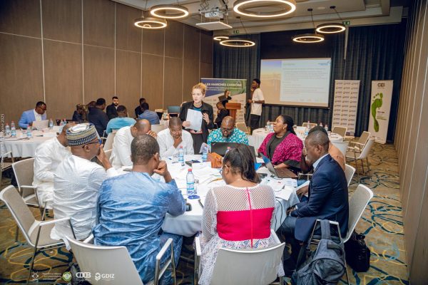Carbon markets workshop : SIPI-BENIN S.A. stands alongside private sector stakeholders