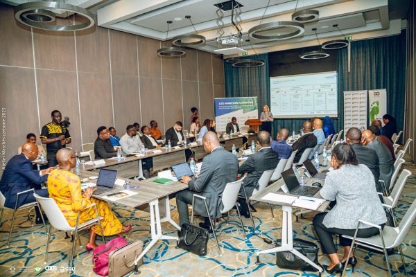 Carbon markets workshop : SIPI-BENIN S.A. stands alongside private sector stakeholders