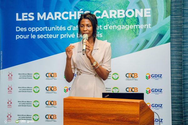 Carbon markets workshop : SIPI-BENIN S.A. stands alongside private sector stakeholders