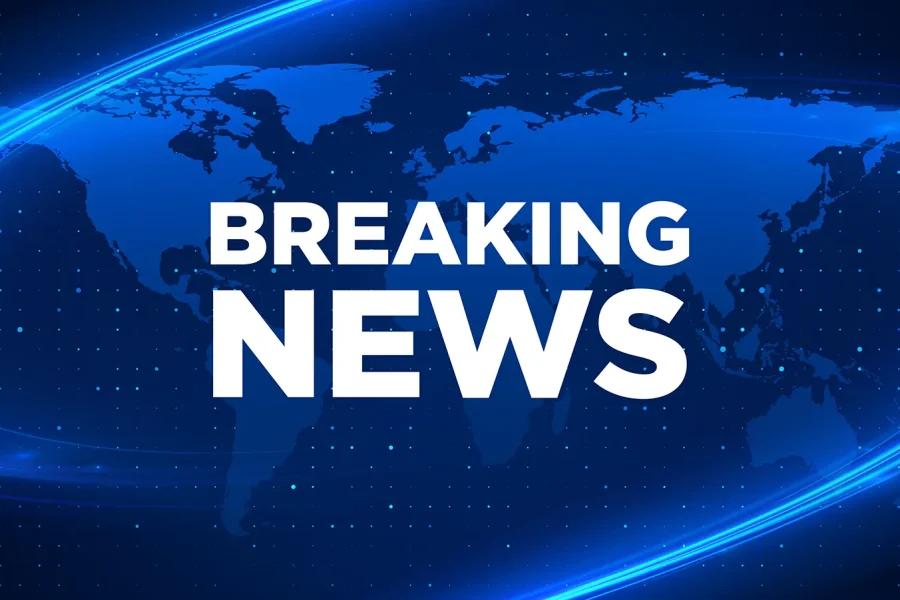 Spotlight on GDIZ - Edition 79