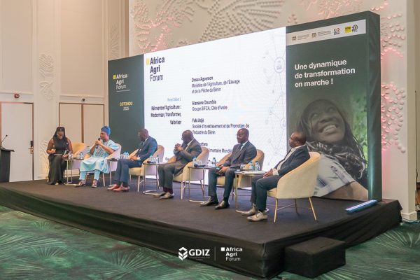 Agriculture and industrialisation : a winning combination for Benin