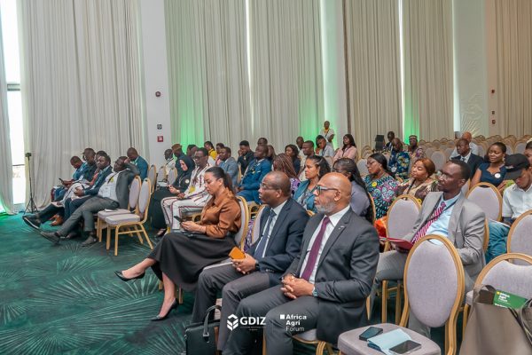 Agriculture and industrialisation : a winning combination for Benin