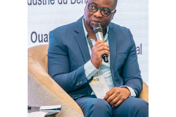 Agriculture and industrialisation : a winning combination for Benin