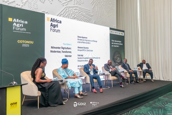 Agriculture and industrialisation : a winning combination for Benin