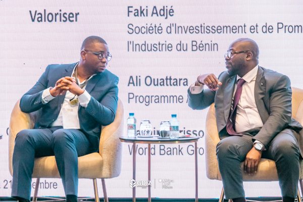 Agriculture and industrialisation : a winning combination for Benin