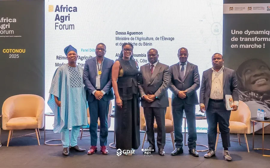 Spotlight on GDIZ - Edition 80