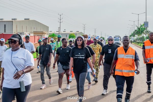 Cohesion and workplace well-being