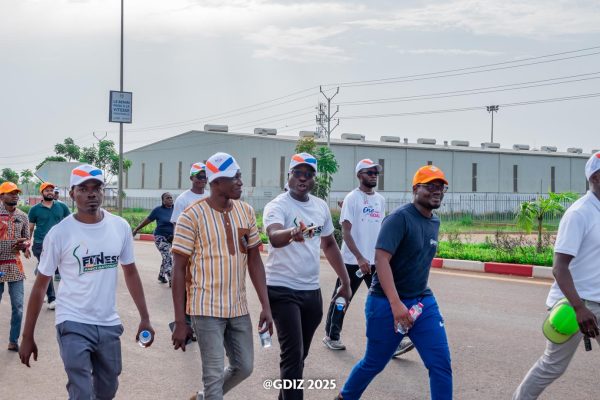 Cohesion and workplace well-being